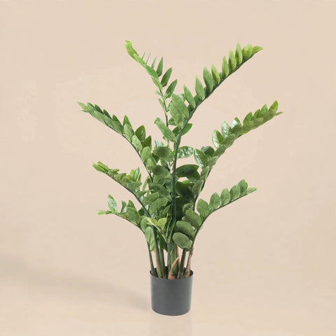 Artificial Zamioculcas