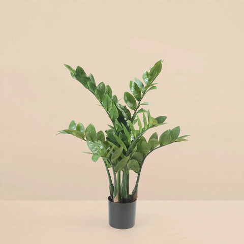 Artificial Zamioculcas