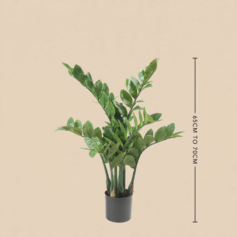 Artificial Zamioculcas