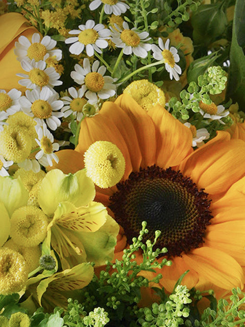 Bloom & Shine