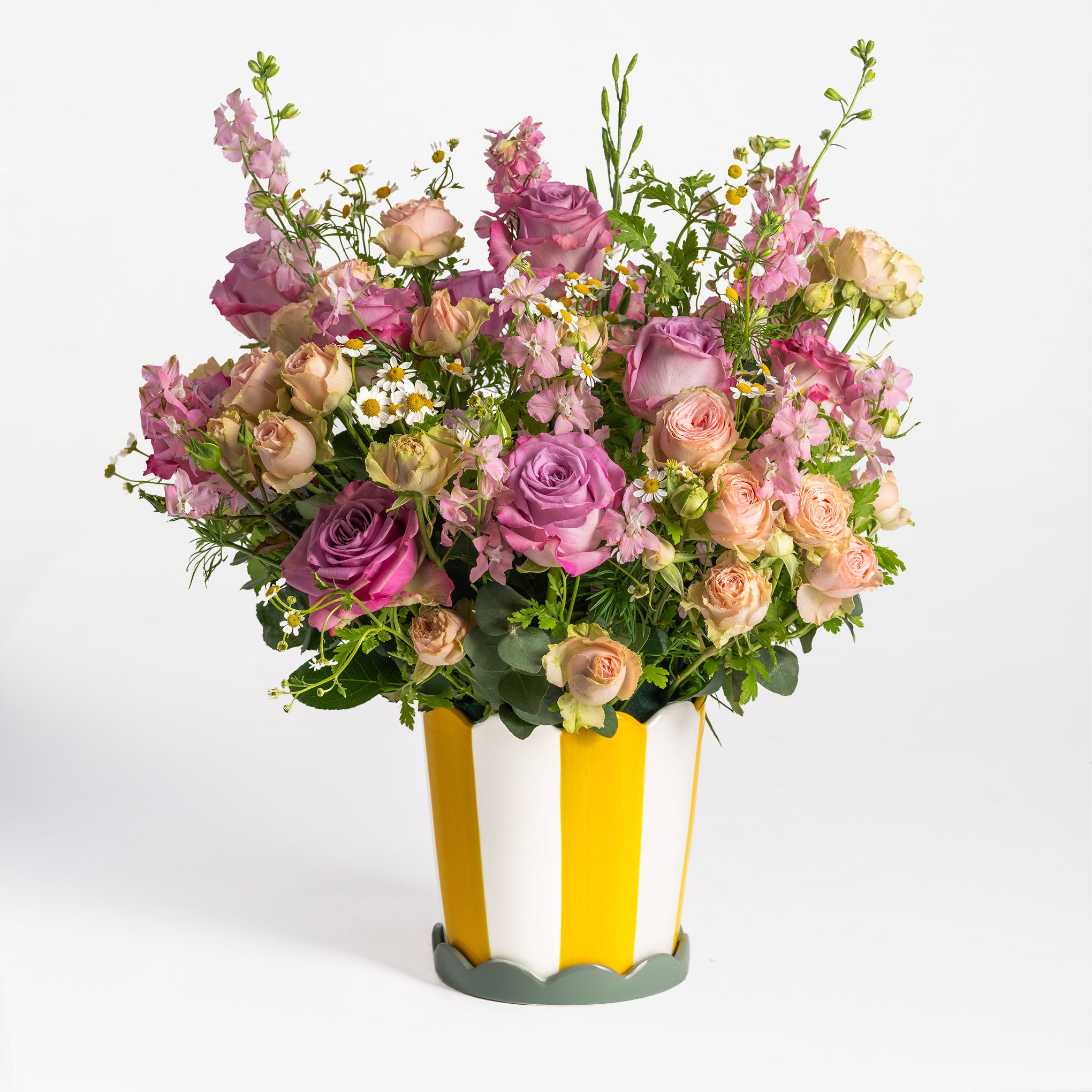 Splendid Roses – Exotica
