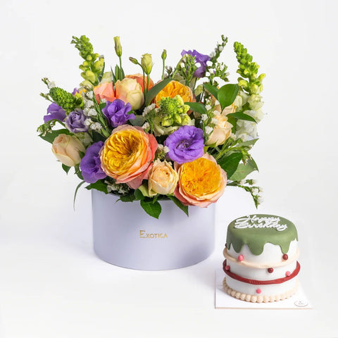 Birthday Bundle