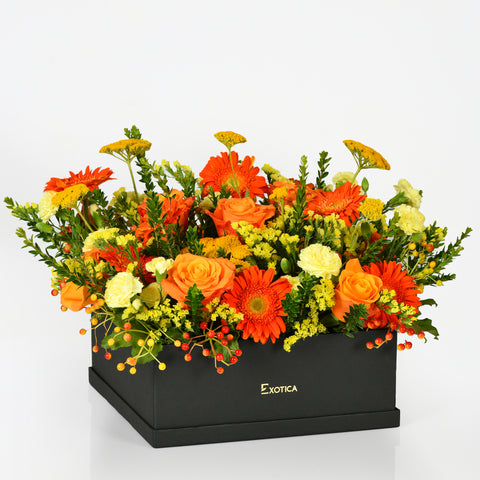 Blooms of Summer