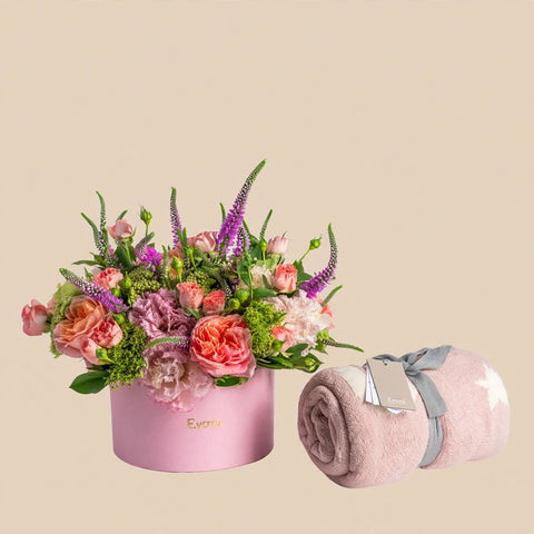 Blush and Comfort