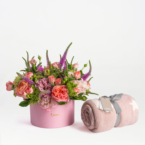 Blush and Comfort