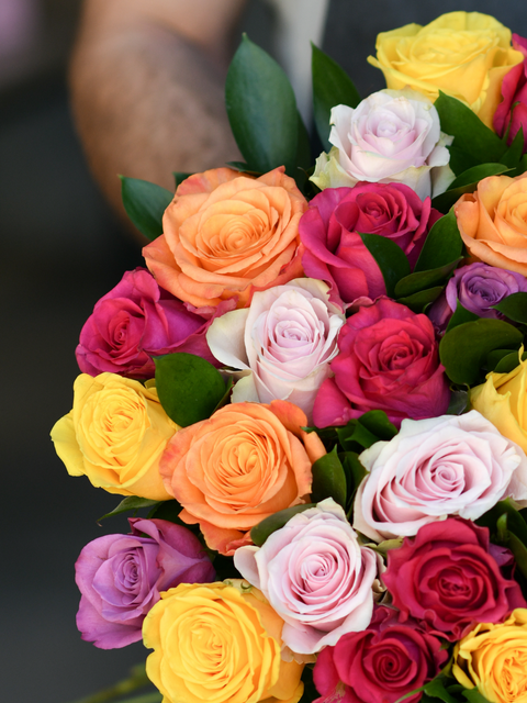 Find Flowers by Colour