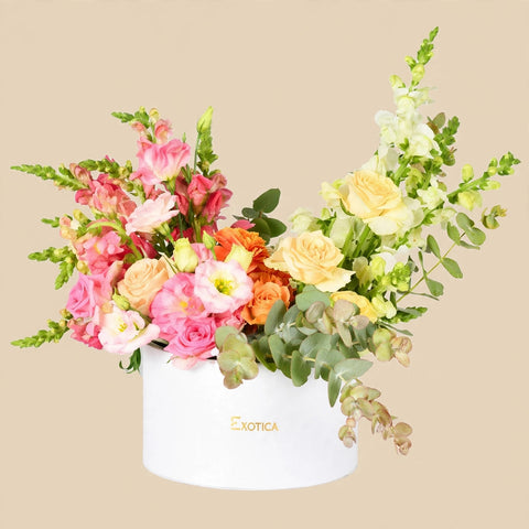 Charming Box