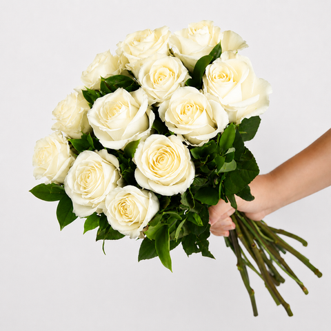 Classic Symbol of Purity