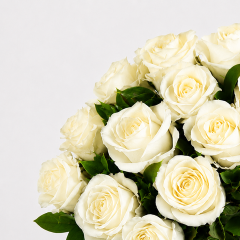 Classic Symbol of Purity