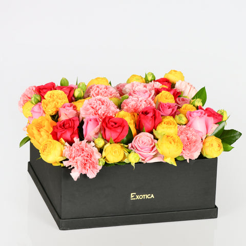 Colorful Bloom