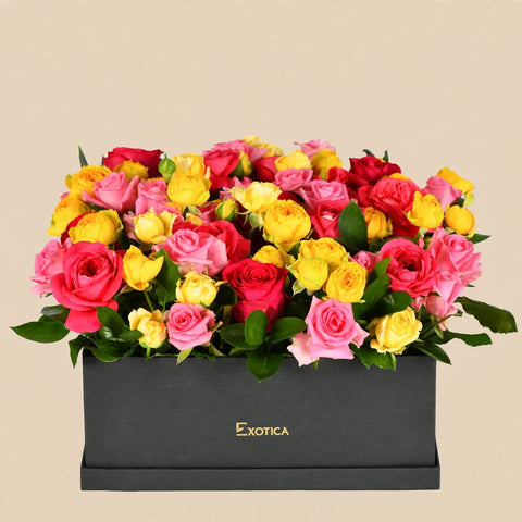 Colorful Bloom