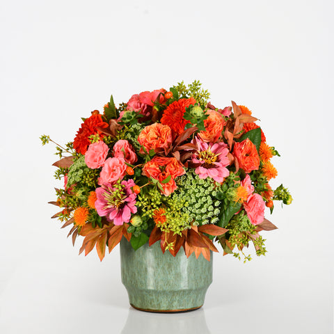 Cozy Blooms