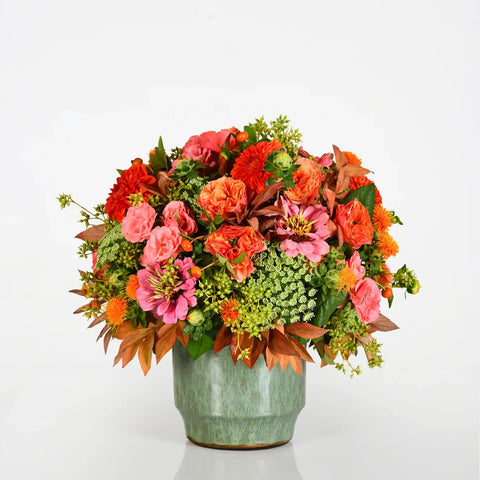 Cozy Blooms