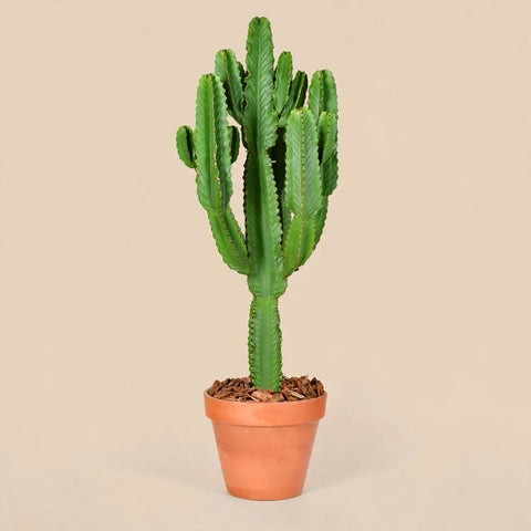 Desert Giant