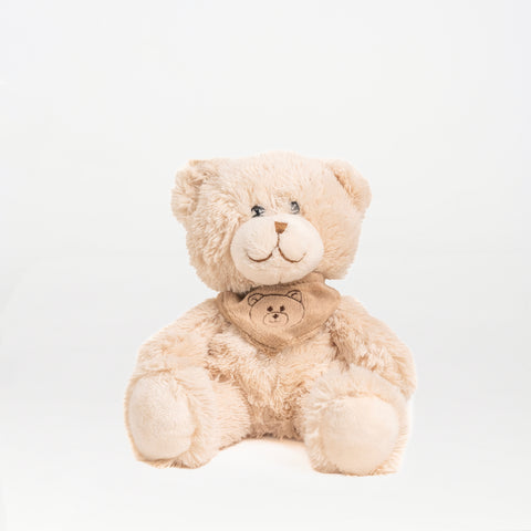 Teddy Bear with Scarf