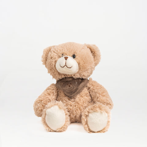 Teddy Bear with Scarf