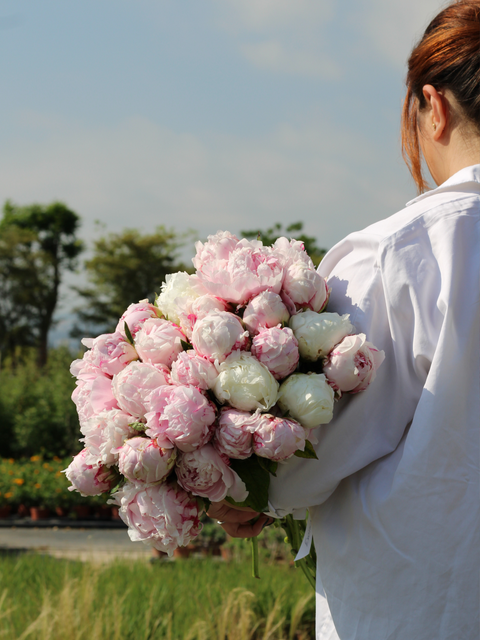 Flower Bouquets