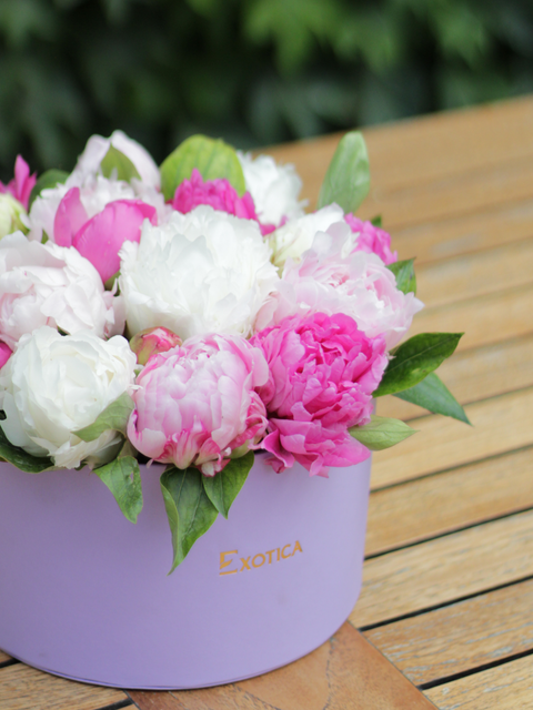 Luxury Flower Boxes