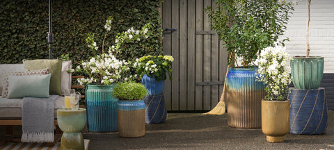 Shop Black Friday Deals