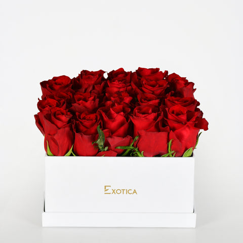 I'm Yours