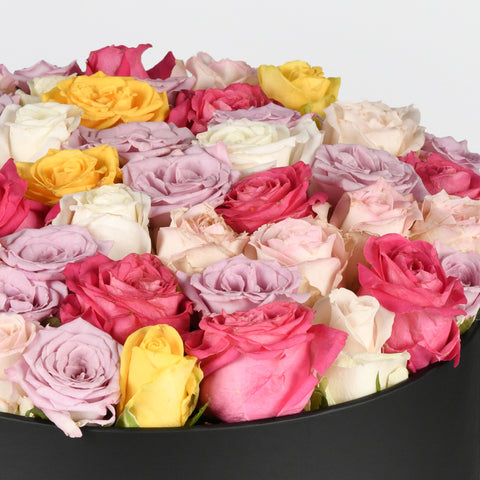 Joyful Box