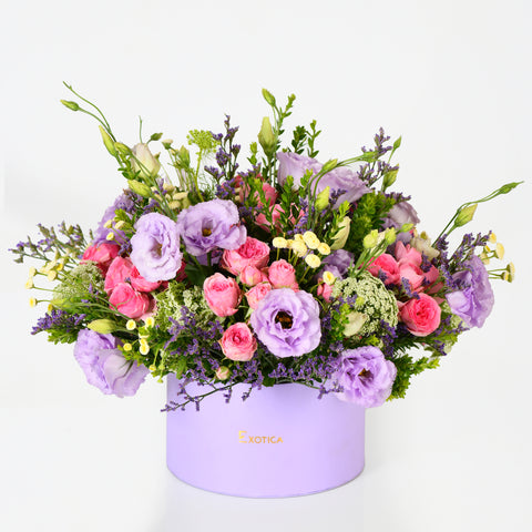 Lilac Hugs