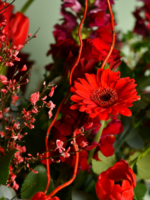 Love in Bloom