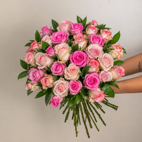3 Dozen Pinks