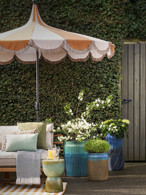 Shop Black Friday Deals