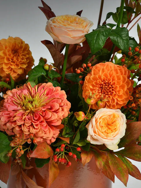 Autumn Collection