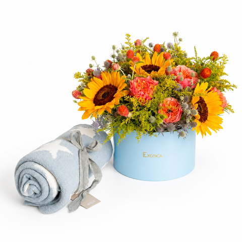 Tiny Dreams