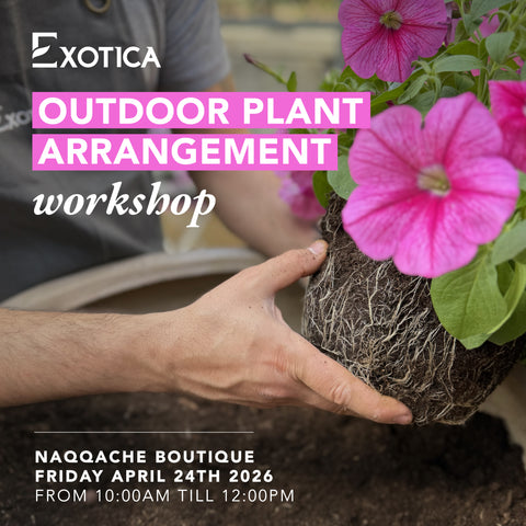 Outdoor Plant Arrangement Workshop