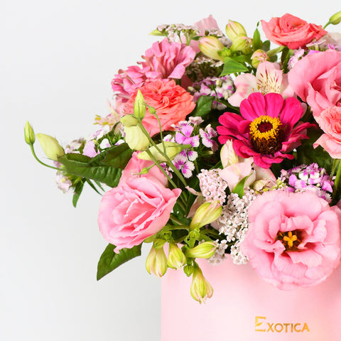 Pink Celebration
