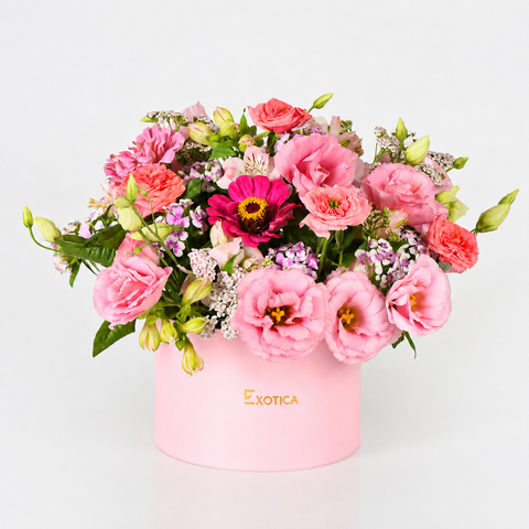 Pink Celebration