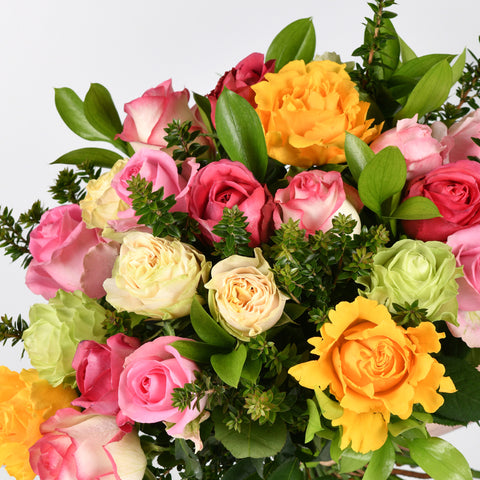 Rose Elegance
