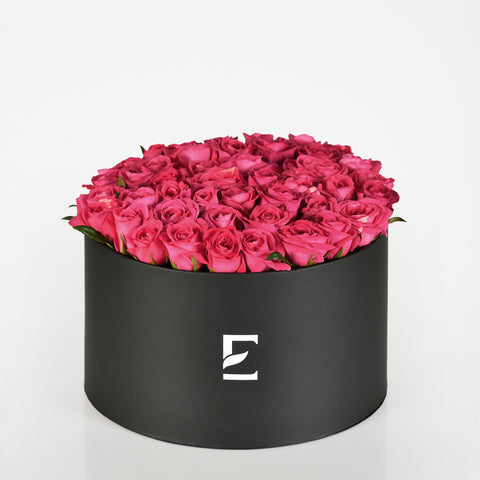 Rose Magenta