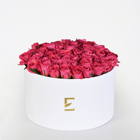 Rose Magenta