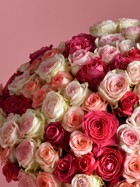 Say It with Roses