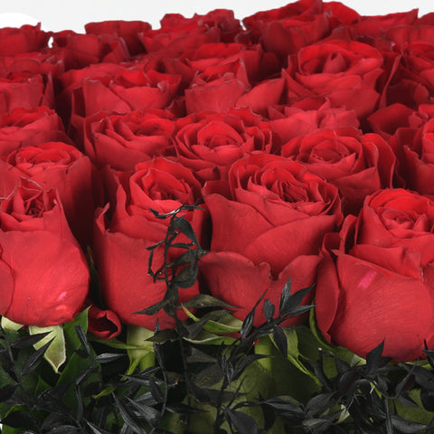 Shades Of Passion