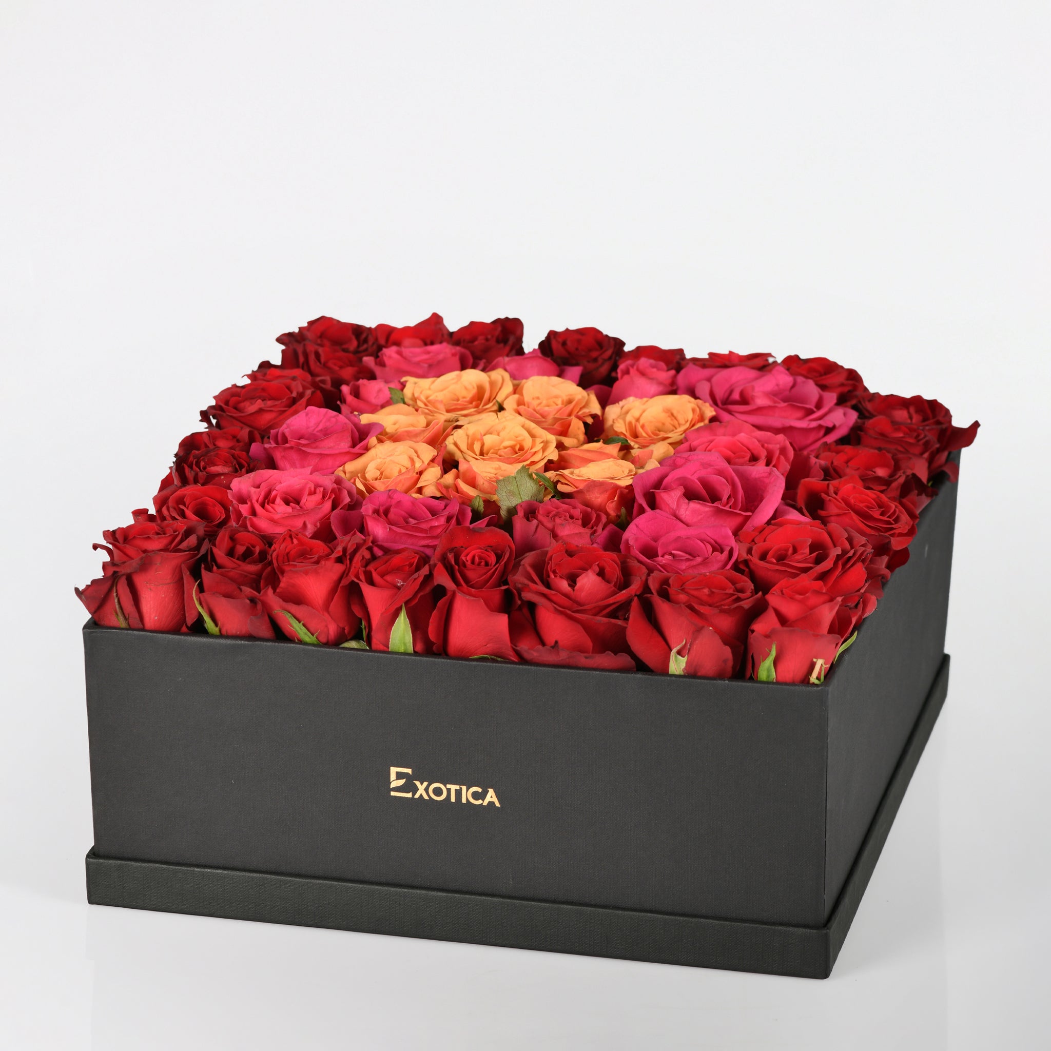 Splendid Roses – Exotica