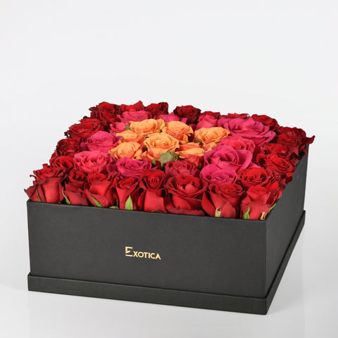 Splendid Roses