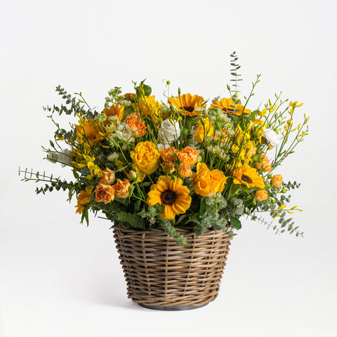 Summer Harvest