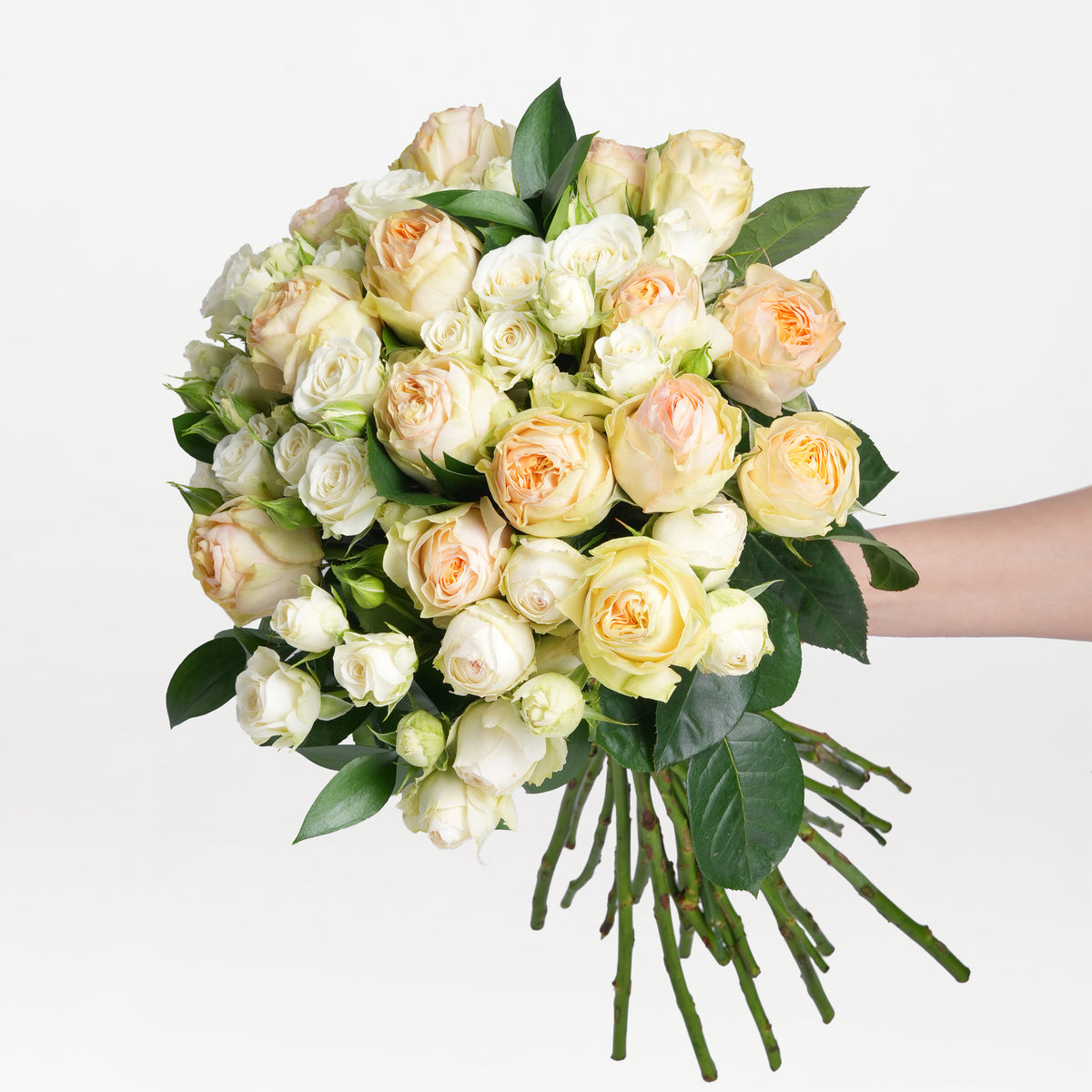 Exotica / Flowers / Vanilla Roses