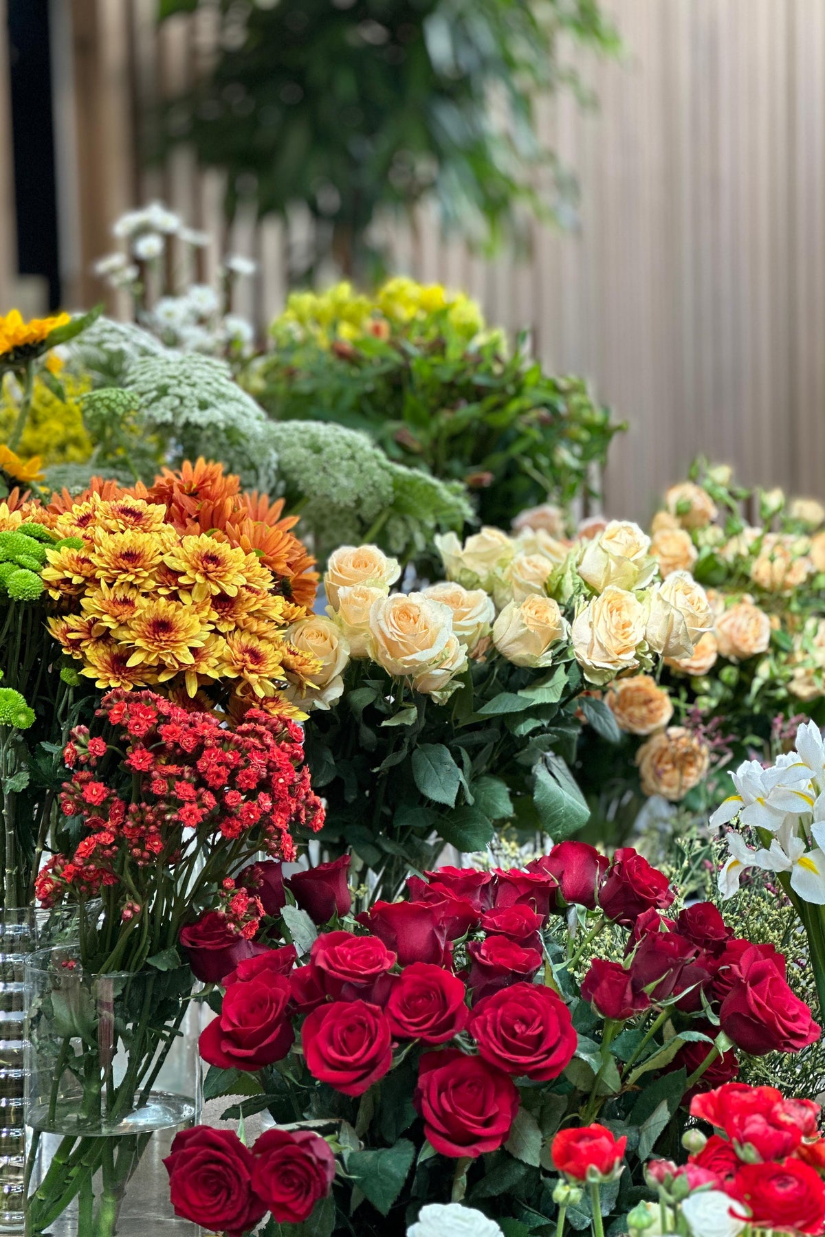 Buckets of fresh red and cream roses, chrysanthemums and kalanchoe on display at Exotica Verdun