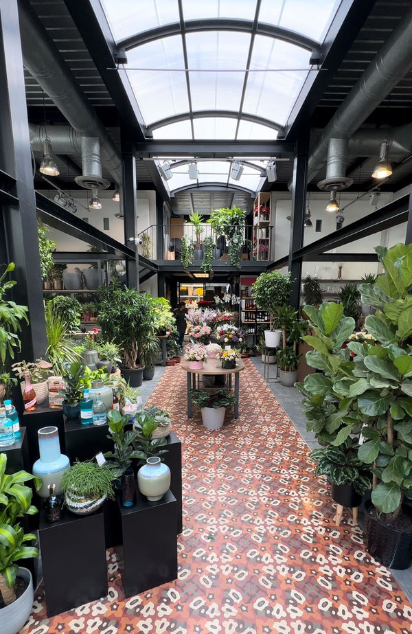 Inside Exotica Achrafieh: a skylit aisle lined with potted plants, orchids and vases on a patterned tile floor
