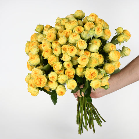 Yellow Puffs