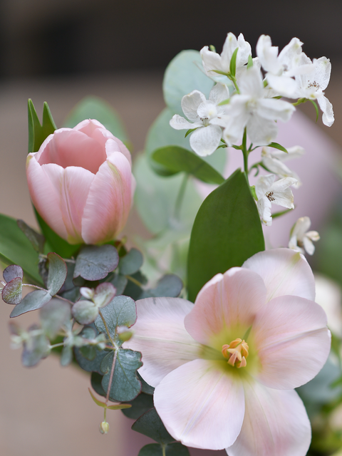 Discover Floral Varieties