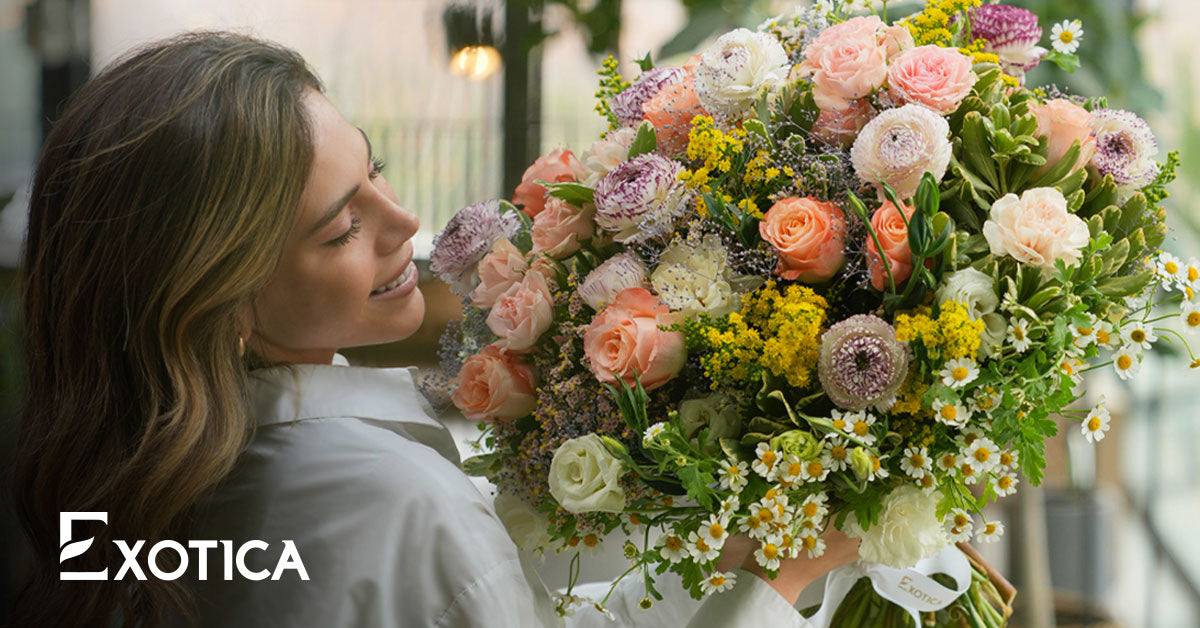 Contact Us Exotica contact-us-exotica