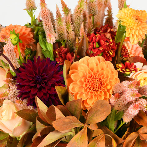Autumn Sweetness