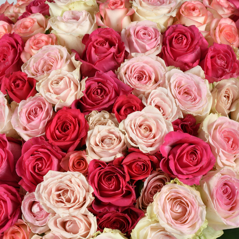 DOUBLE THE ROSES